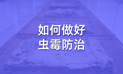 檔案修復后，如何做好蟲霉防治